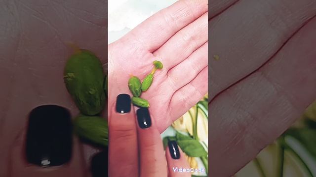 Как собрать??? семена ?эустомы ⁉️