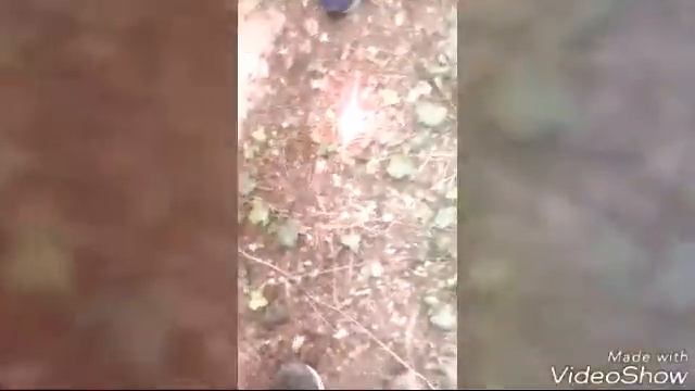 Самодельный фитиль. смотреть онлайн