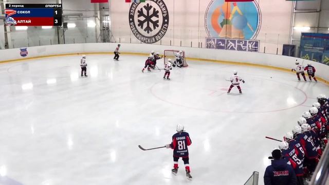 Кубок федерации СФО среди мальчиков до 11 лет. "Сокол" - "Алтай". 9 ноября 2023 года смотреть онлайн