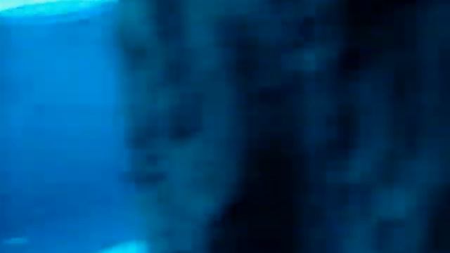 Забавные пингвины смотреть онлайн