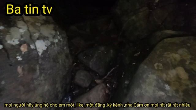 Ba tin tv l 26 Giờ sinh tồn , trong rừng : món ăn đặt sản của rừng, cái kết của hai anh em смотреть онлайн