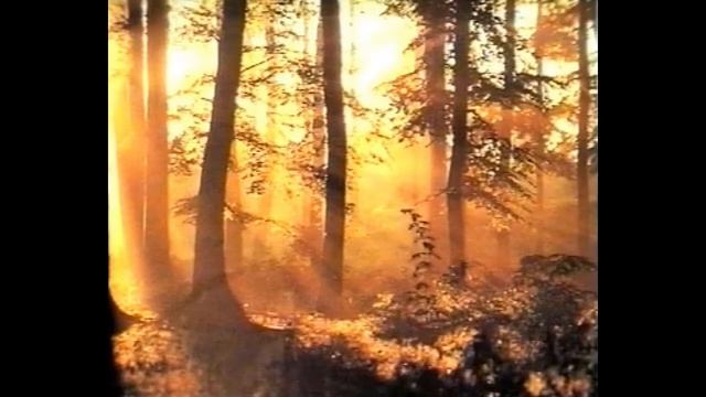 Amparo (Federico Garcia Lorca) смотреть онлайн