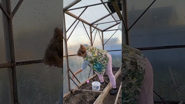 ОБРАБОТКА ТЕПЛИЦ ❤️✨Подготовку к новому огородному сезону я начинаю с осени. #обработкасада #теплиц