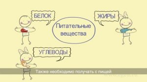 Ролик Принципы здорового питания школьников