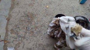 КАК УБРАТЬ НАГАР С ПОРШНЕЙ С ПОМОЩЬЮ ДЕМЕКСИДА (4G93 GDI)