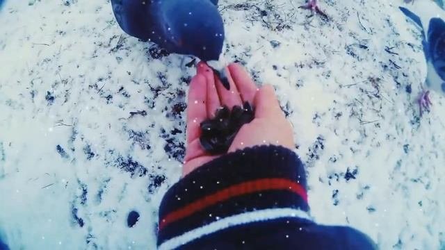 Троицк Челябинская область. Зарисовка
