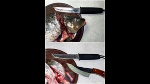 Китайский нож «танто» Kobun Cold Steel. Достойна ли реплика японского императора? | #Обзор