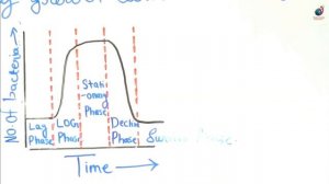 Bacterial Growth Curve Structure Of Bacteria II B Sc Nursing 1st  II Microbiology II Shubam Sir II