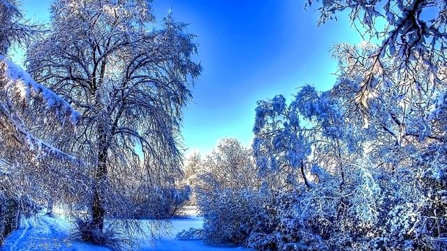 Очень красивая мелодия!!! Зимний вальс/Дмитрий Метлицкий - Beautiful Instrumental music