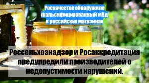 Роскачество обнаружило фальсифицированный мёд в российских магазинах