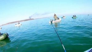 Рыбалка на Дефризе ловля селёдки,во Владивостоке Приморский край 2019