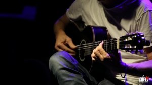 Sting - Fields of Gold - Dominic Miller