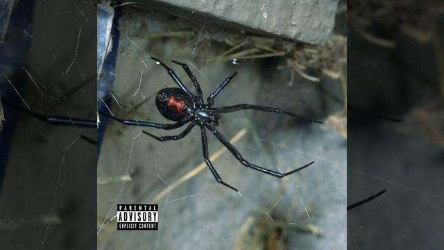 Вырасти суку смотреть онлайн