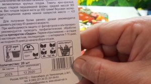 КАКИЕ ТОМАТЫ ВЫБРАТЬ? СОРТ ЛЕНТЯЙКА - ДЛЯ ЗАНЯТЫХ ОГОРОДНИКОВ. Обзор Ольги Черновой.