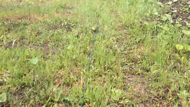 ГИДРОТАРАН РОГОЗИНА. ВОДЯНОЙ НАСОС. WATER RAMP PUMP. СВОИМИ РУКАМИ. ГИДРОУДАРНЫЙ НАСОС. смотреть онлайн