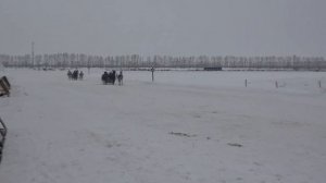 Конные бега