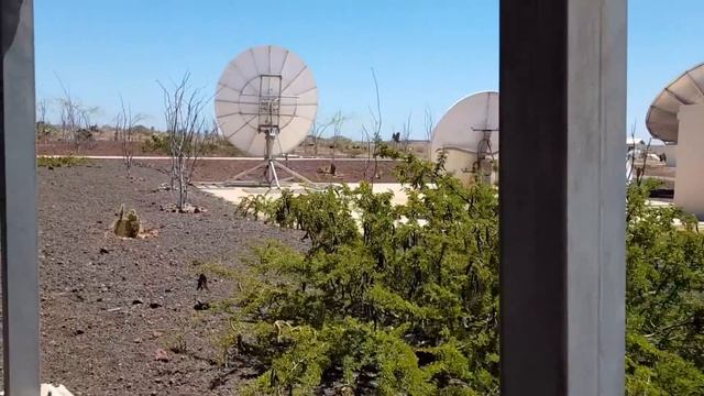 Галапагосские острова. Прилетели сюда и что мы видим??? смотреть онлайн