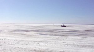 Yamaha Viking Professional 2. Тест