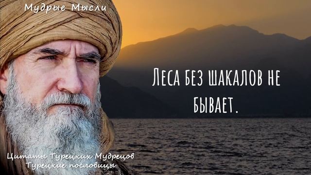 Лучшие Турецкие Пословицы и Поговорки о Жизни, Доверии и Мудрости