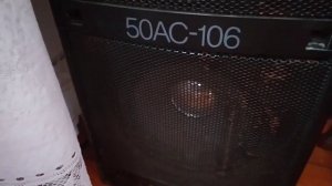 Я ПОСТАВИЛ НОВЫЙ ДИНАМИК НА СТАРУЮ КАЛОНКУ ВЕГА 50AC -106 КАКАЯ КАЛОНКА ТЕПЕРЬ ЛУЧШЕ ❓