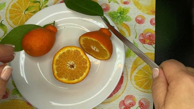 Tangelo "Melinghina" смотреть онлайн