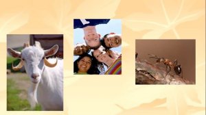 Свойства живых организмов