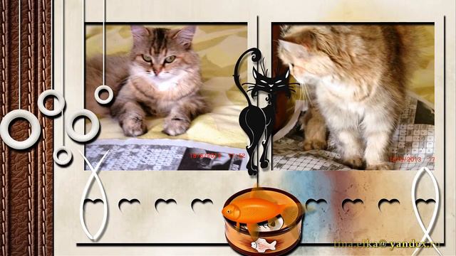 НАШИ ЛЮБИМЫЕ ЛОХМАТЫЕ ДРУЗЬЯ смотреть онлайн