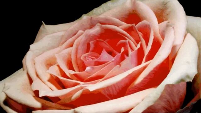 Японский саксофон _ Релакс смотреть онлайн