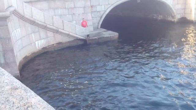 Собака любит плавать _3 смотреть онлайн