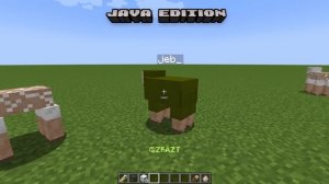 Java vs Bedrock vs Pocket