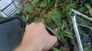 Лучше купить новый вариатор скутера, чем смазать старый!