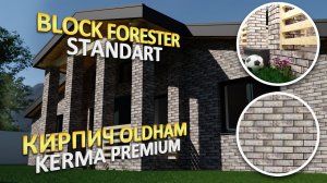 #кирпич #oldham + проект №1 из ТОП3. Block Forester Standart