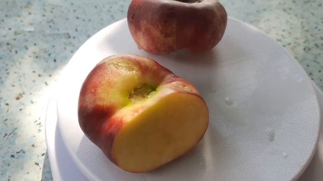 Донат ,Нектарин который должен быть в каждом саду смотреть онлайн