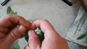 Простейший и чувствительный сигнализатор поклёвки!