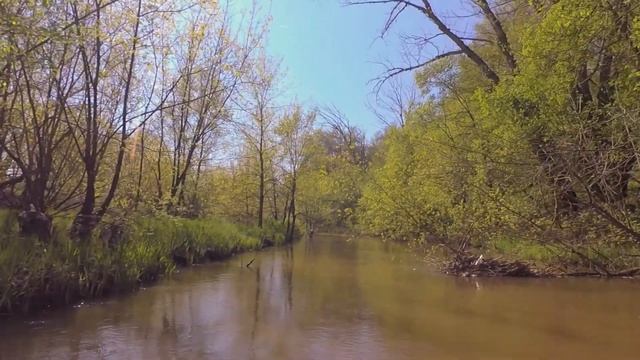 Река Чир 2021