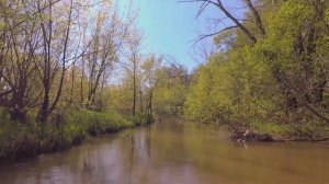 Река Чир 2021