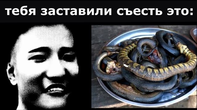 Съесть заставить. Что съесть.