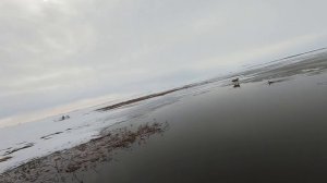 Охота на гусей, весна 2020. Goose hunting. Часть 2. Охота на Камчатке, Пенжина. Охота на севере.