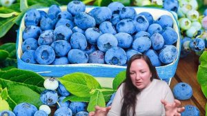 Другие ягодные кустарники в нашем саду. Обсудим?