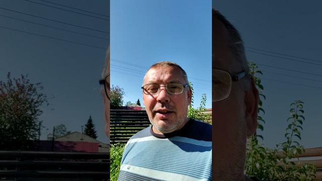 Как в деревне ГАДЮКИНО закончился потоп? Солнце вернулось☀️, пчелы принялись за работу! 🐝🍯