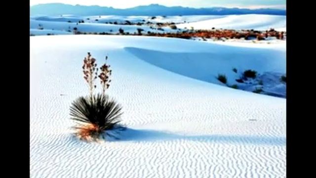 Самые удивительные пустыни планеты