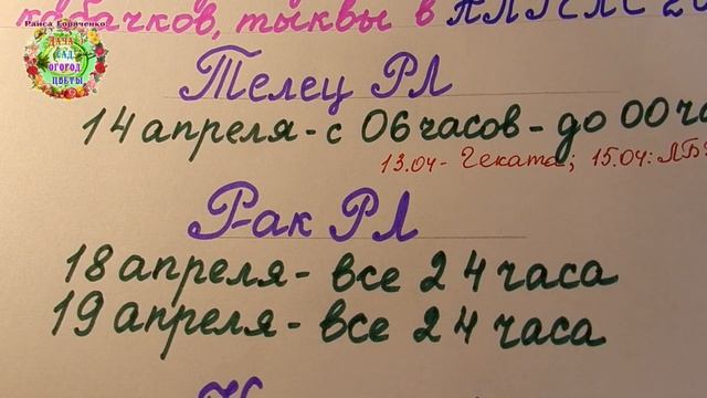 Когда посеять семена кабачков на рассаду в апреле 2021 года? Когда посеять семена тыквы на рассаду?