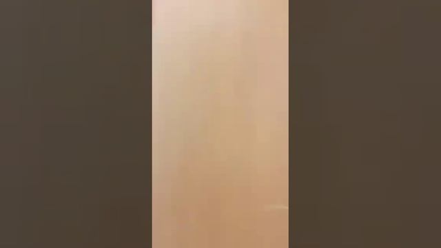 Аренда помещения Красносельский район, Каланчёвская улица, 16с1
