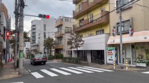 Токийские прогулки. Ноябрь в Токио.