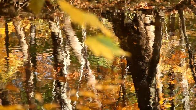 Осень в Филадельфии 11 02 2013 смотреть онлайн