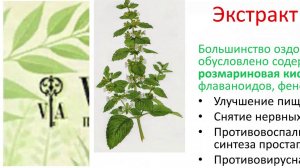 ПРОПИОНИКА ФОРТЕ - Новый продукт Часть 1