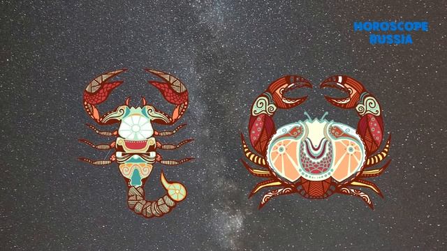 Скорпион Совместимость с Другими Знаками Зодиаками / Гороскоп Совместимости