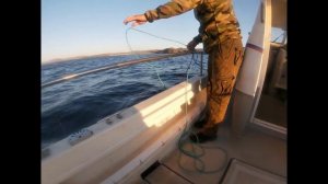 Морская рыбалка в Териберке