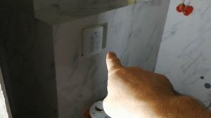 Как сделать ремонт квартиры в Москве под ключ в новостройке с нуля дёшево в 2021 году?