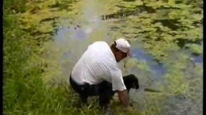 Щенок. Ч-1 Дрессировка РОСа